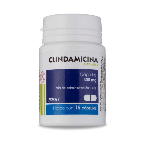 CLINDAMICINA 300 MG 16 CAPSULAS - Farmacias Similares® | Tienda Online